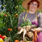 Lire la suite à propos de l’article Les Marchés de denrées alimentaires multi attributaire