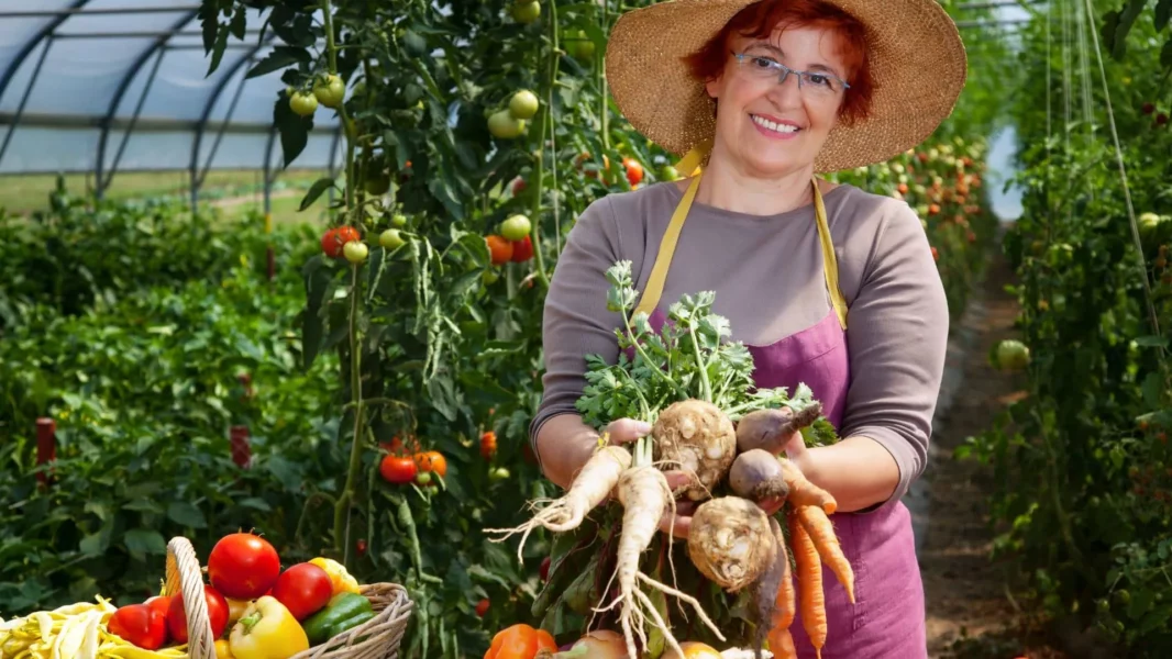 You are currently viewing Les Marchés de denrées alimentaires multi attributaire